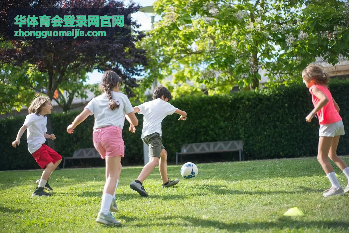 华体育会登录网官网报名流程展示